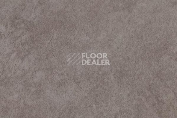 Линолеум Forbo Eternal Material 10042 graphite stucco фото 1 | FLOORDEALER